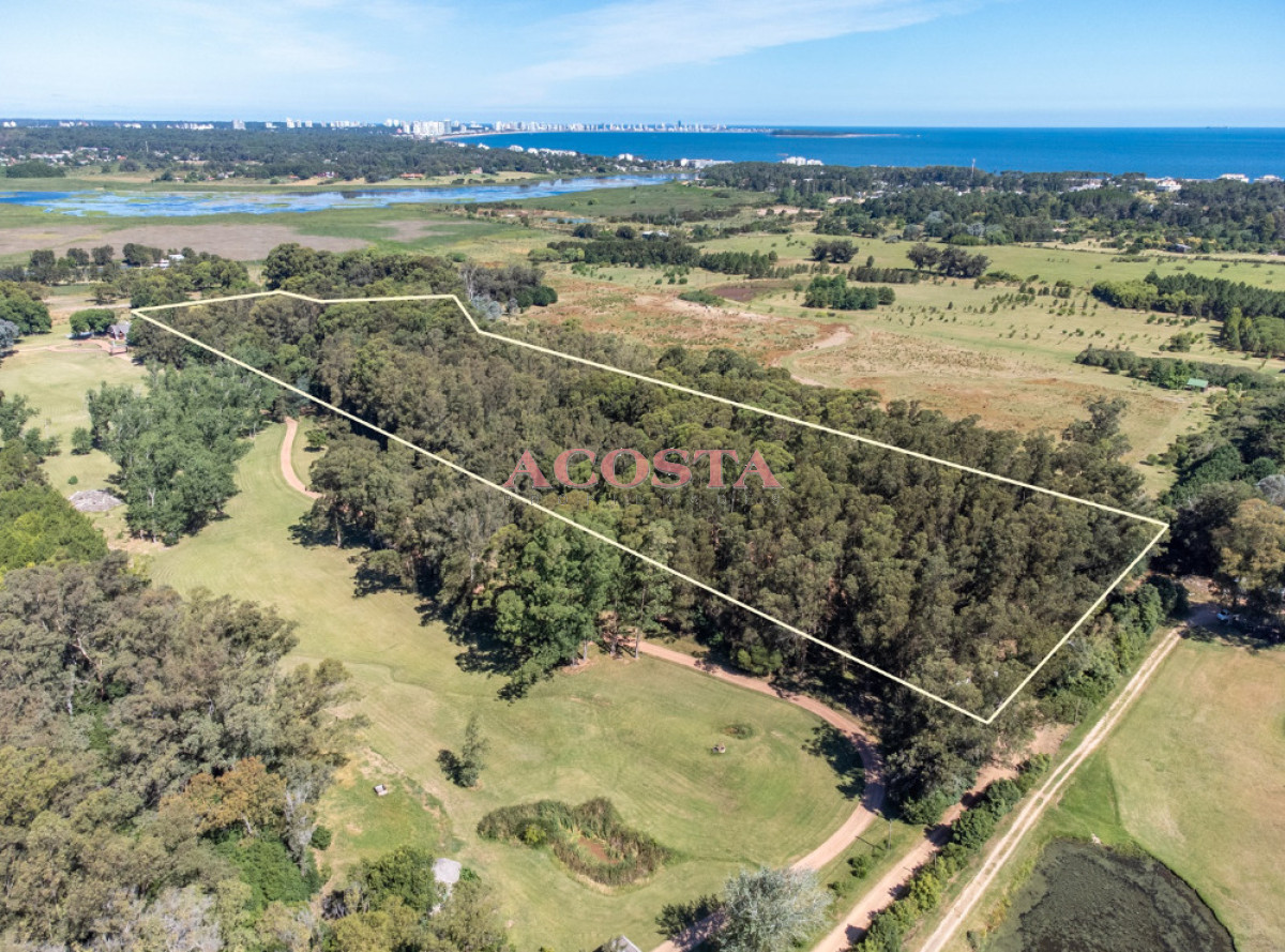 Chacra ID.216 - Lugar de tranquilidad !!!hermosa chacra en Punta Ballena 