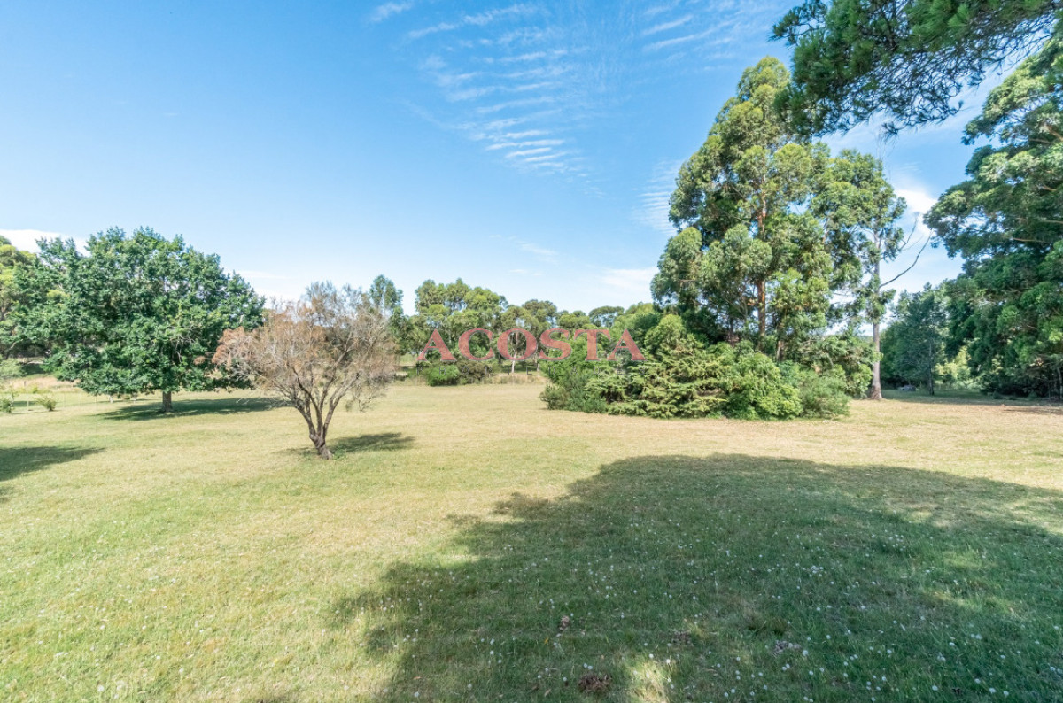 Chacra ID.216 - Lugar de tranquilidad !!!hermosa chacra en Punta Ballena 