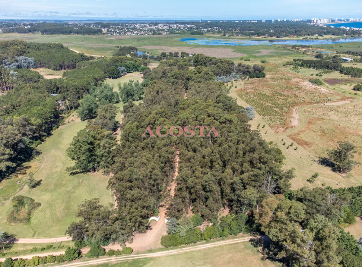 Chacra ID.216 - Lugar de tranquilidad !!!hermosa chacra en Punta Ballena 