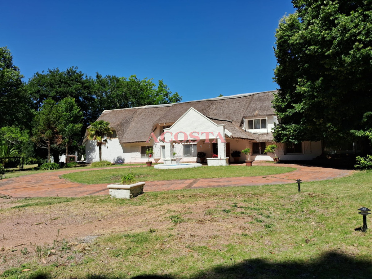 Chacra ID.216 - Lugar de tranquilidad !!!hermosa chacra en Punta Ballena 