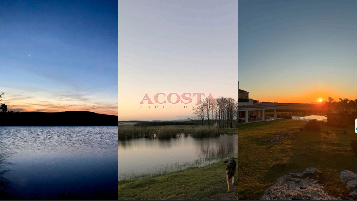 Campo Ref.175 - Campo en , 