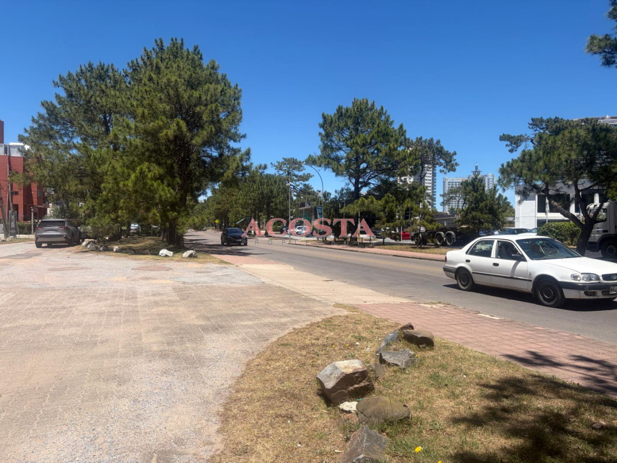 Local Comercial ID.206 - oportunidad en zona de Aidy Grill