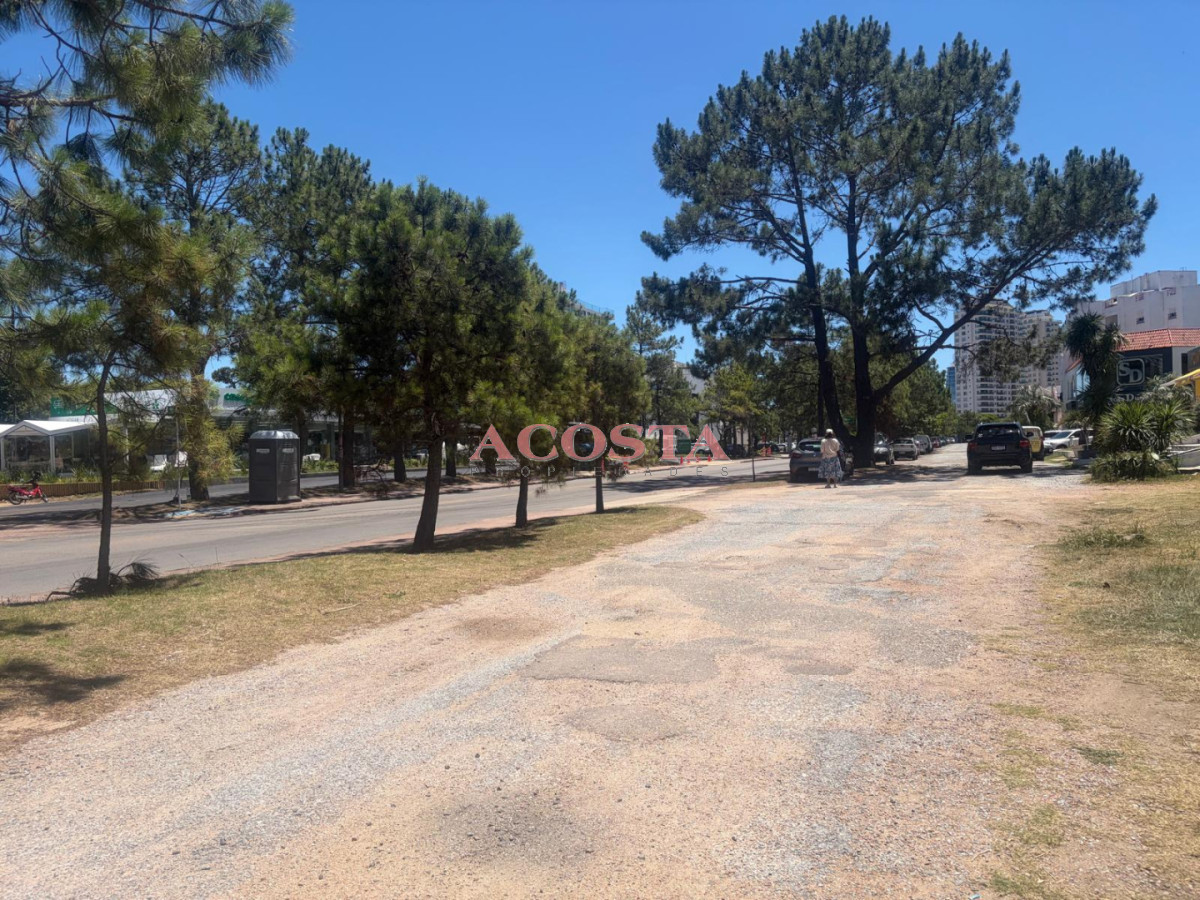 Local Comercial ID.206 - oportunidad en zona de Aidy Grill