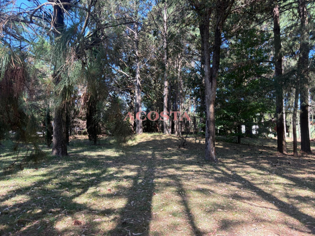 Terreno ID.187 - Atención Inversores !!! Terreno en Punta Ballena 