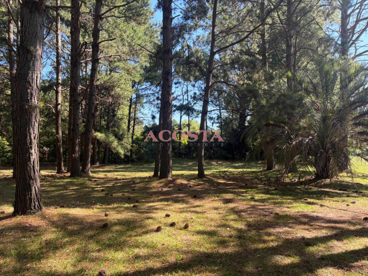 Terreno ID.187 - Atención Inversores !!! Terreno en Punta Ballena 