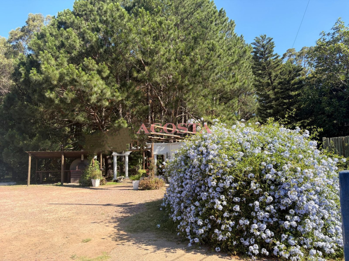 Terreno ID.187 - Atención Inversores !!! Terreno en Punta Ballena 