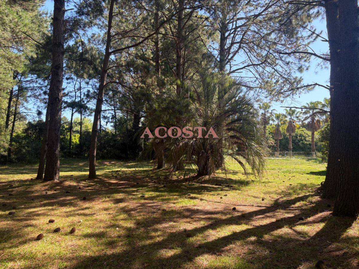 Terreno ID.187 - Atención Inversores !!! Terreno en Punta Ballena 