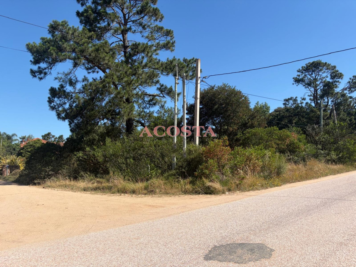 Terreno ID.188 - hermosa esquina en zona de Punta Ballena 