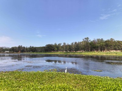 Oportunidad en Reserva de Montoya 
