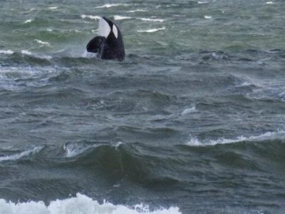 excelente ubicación 