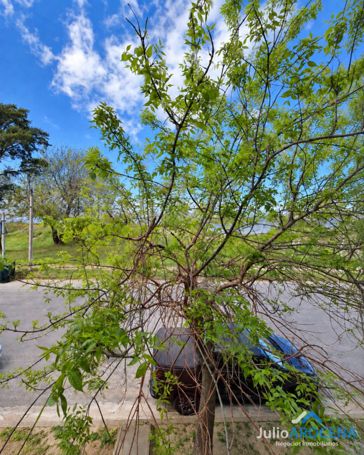 Apartamento ID.1495 - .