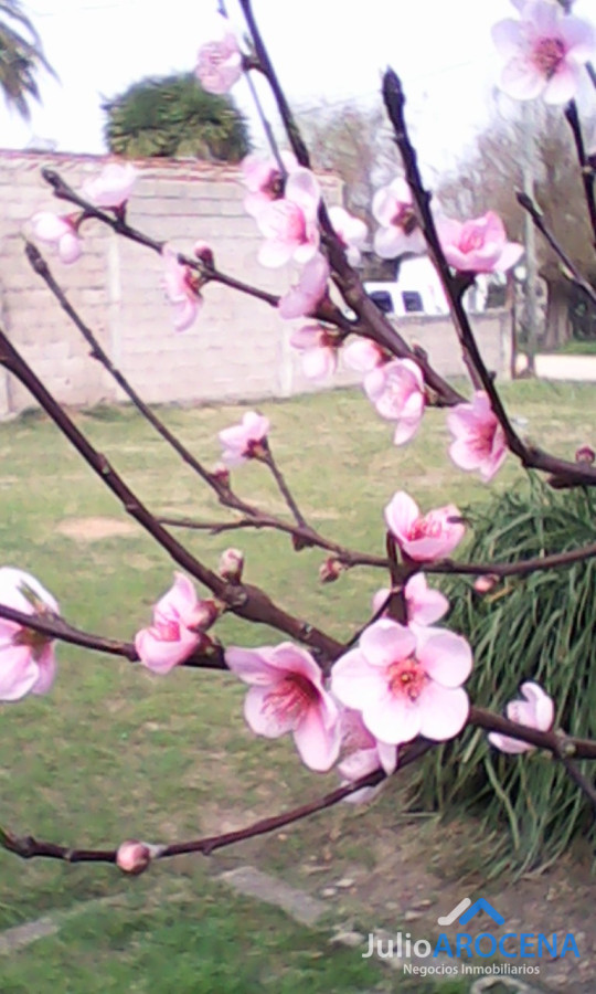 Casa ID.1041 -  Casa con Terreno en Barrio San Francisco, Las Piedras – Canelones, Uruguay 
