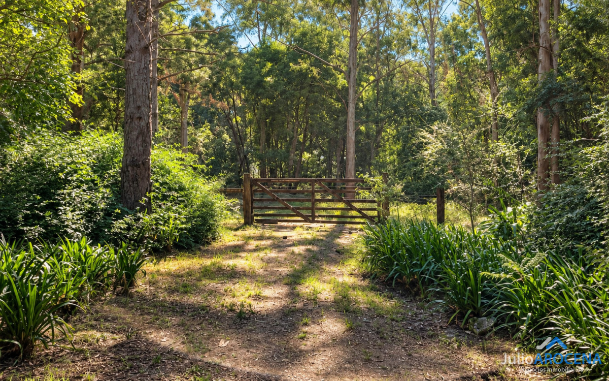 Casa ID.1303 - Encantadora chacra amoblada de casi 1 hectárea con árboles frutales + Terreno de 20X50 con Bosque Nativo