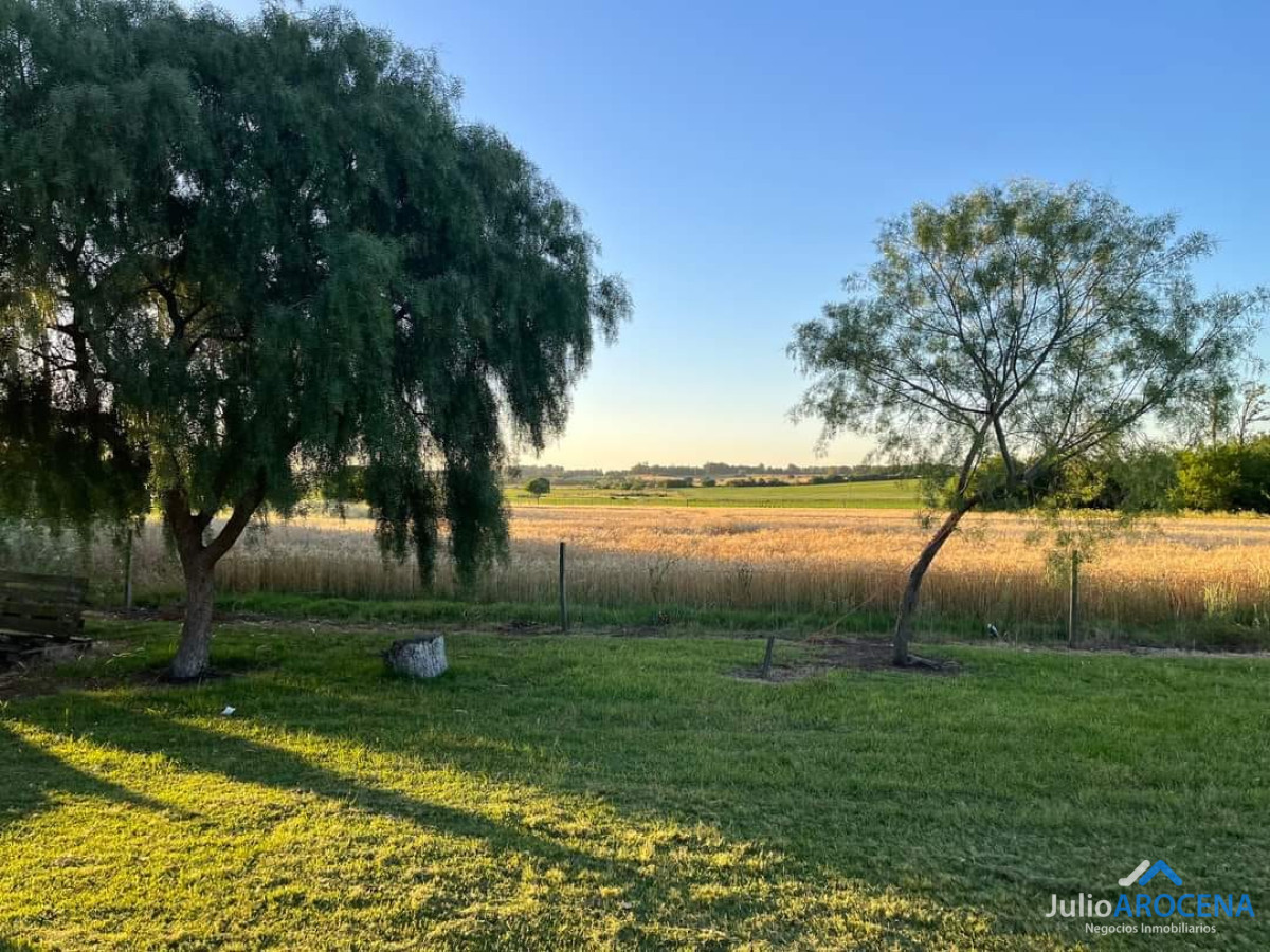 Casa ID.1132 - Chacra de 6.8 hectáreas en venta en un entorno natural único, perfecta para quienes buscan tranquilidad y comodidad cerca de la ciudad. Ubicada a solo