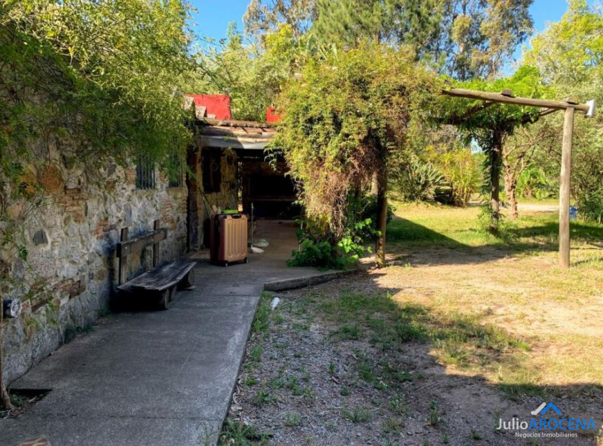 Casa ID.1303 - 🌿✨  CASA CAMPESTRE EN ALQUILER  - Colonia del Sacramento ✨🌿