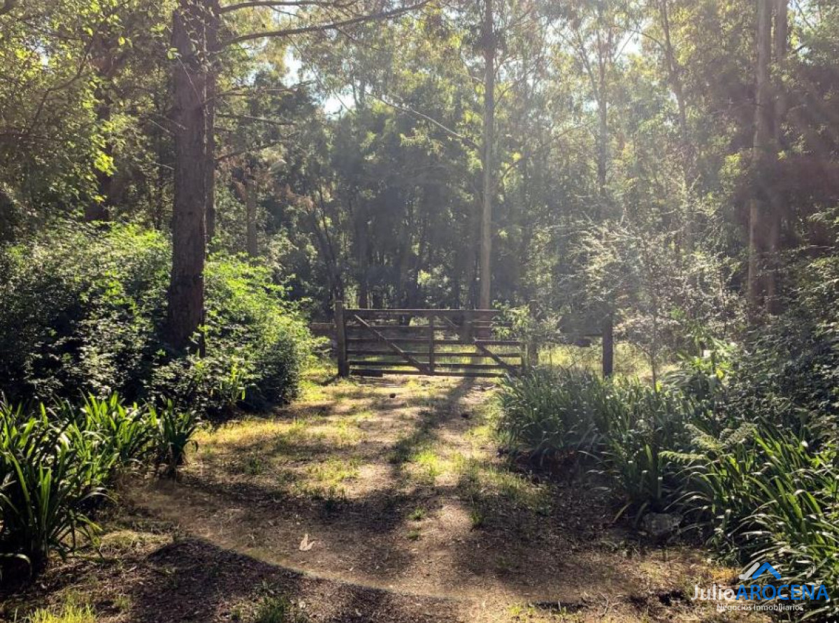 Casa ID.1303 - 🌿✨  CASA CAMPESTRE EN ALQUILER  - Colonia del Sacramento ✨🌿