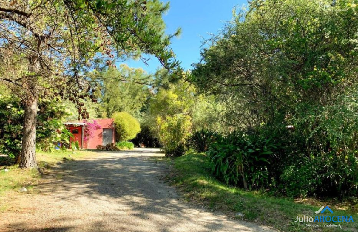 Casa ID.1303 - 🌿✨  CASA CAMPESTRE EN ALQUILER  - Colonia del Sacramento ✨🌿