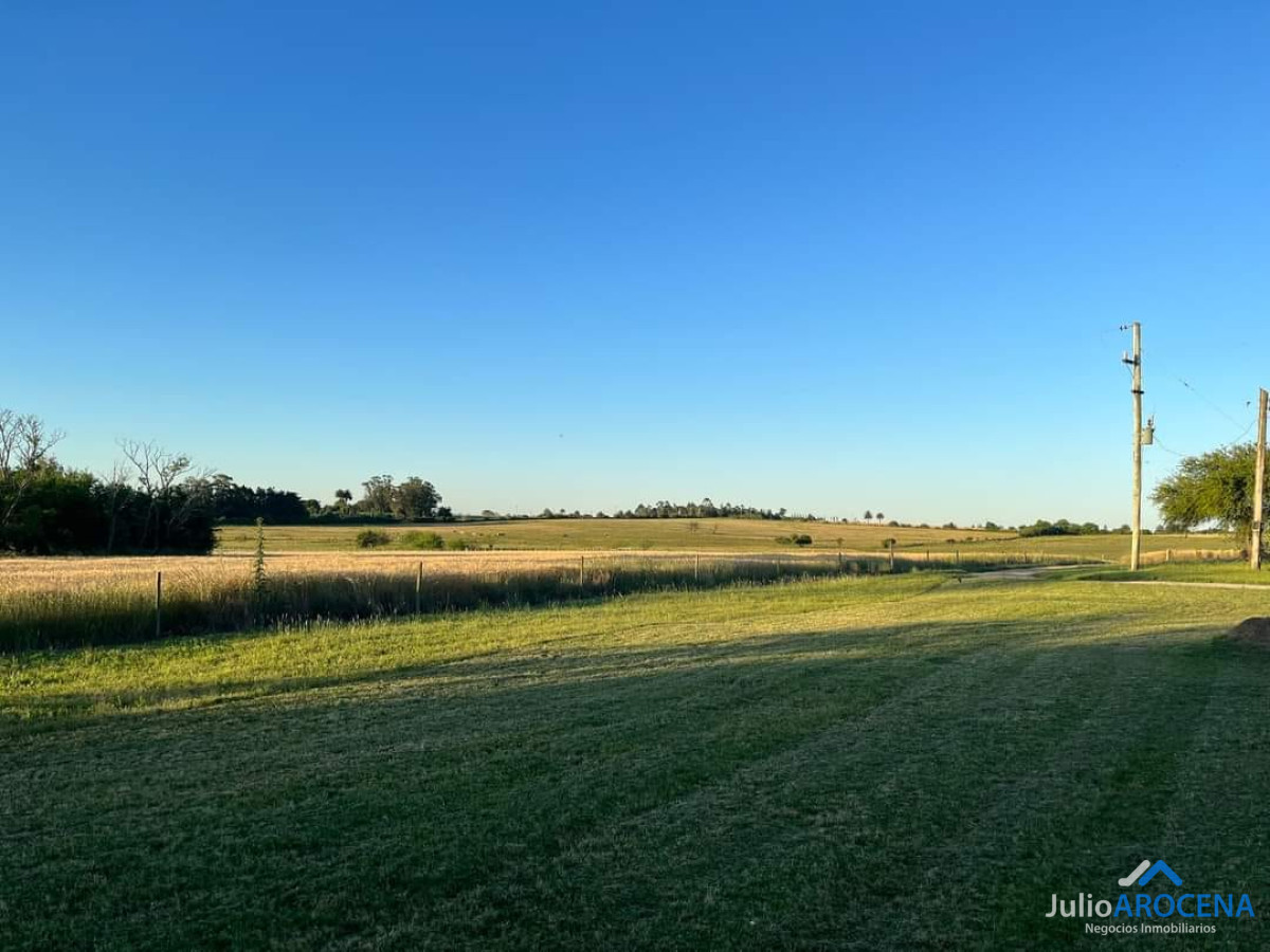 Casa ID.1132 - Chacra de 6.8 hectáreas en venta en un entorno natural único, perfecta para quienes buscan tranquilidad y comodidad cerca de la ciudad. Ubicada a solo