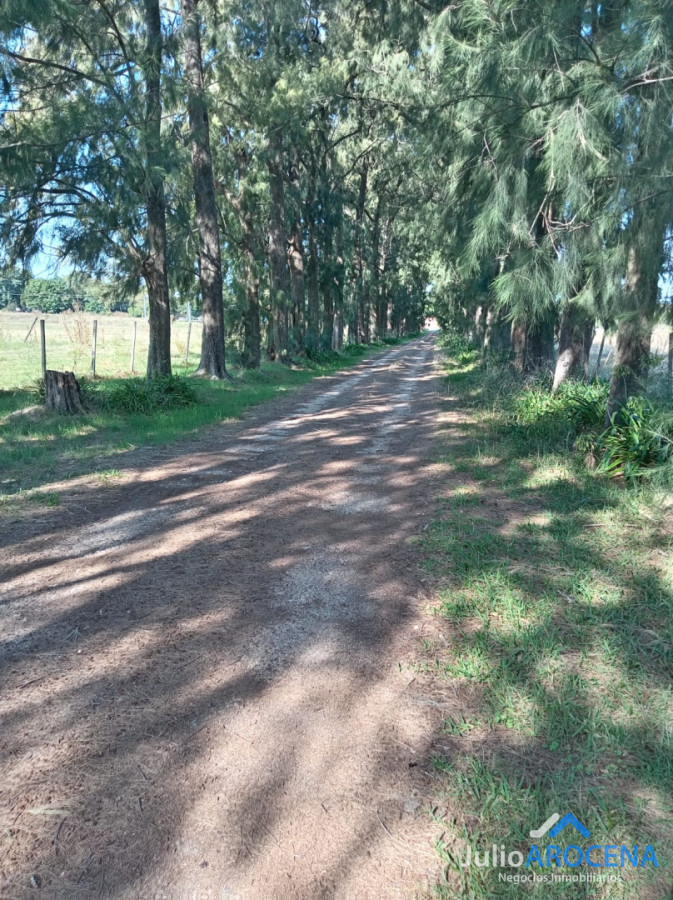 Casa ID.1388 - CASA GRANDE PIEDRA DE LOS INDIOS 