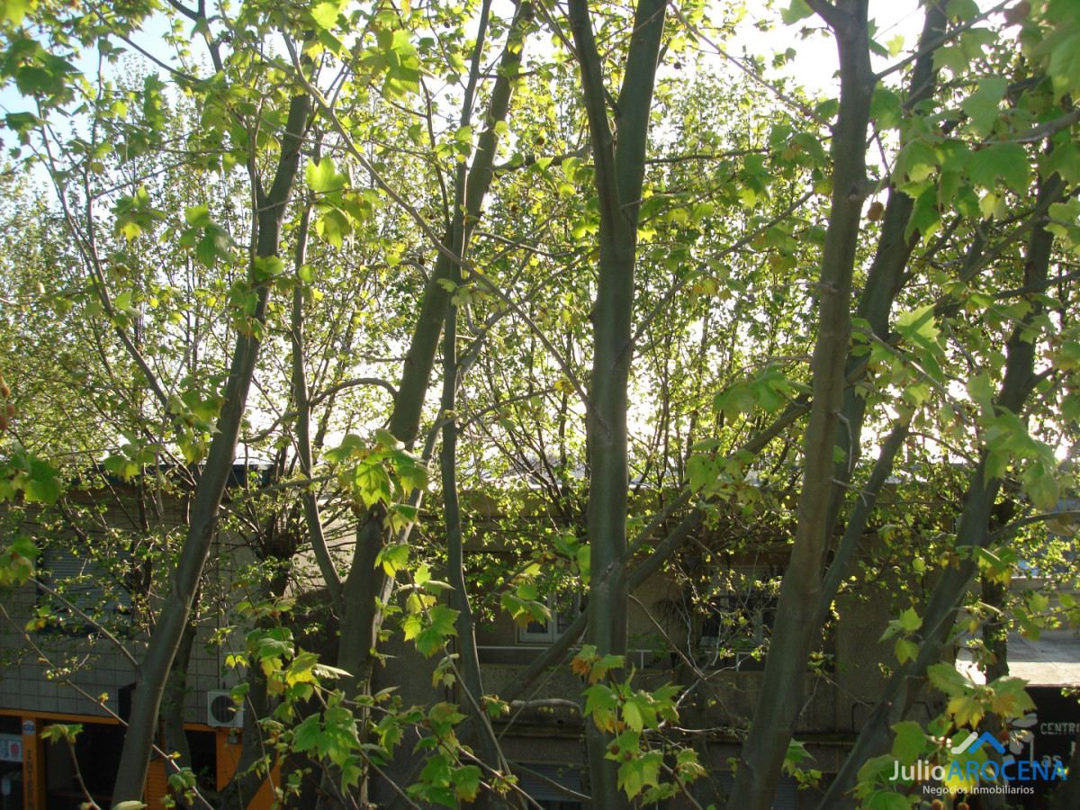 Casa ID.1355 - EXCELENTE OPORTUNIDAD DE INVERSION 