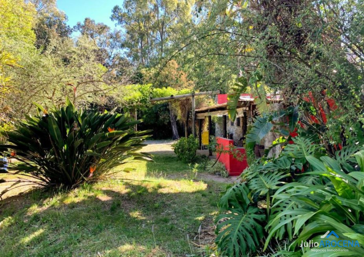 Casa ID.1303 - 🌿✨  CASA CAMPESTRE EN ALQUILER  - Colonia del Sacramento ✨🌿