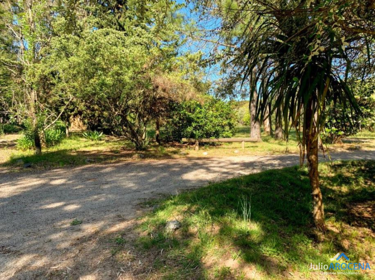 Casa ID.1303 - 🌿✨  CASA CAMPESTRE EN ALQUILER  - Colonia del Sacramento ✨🌿