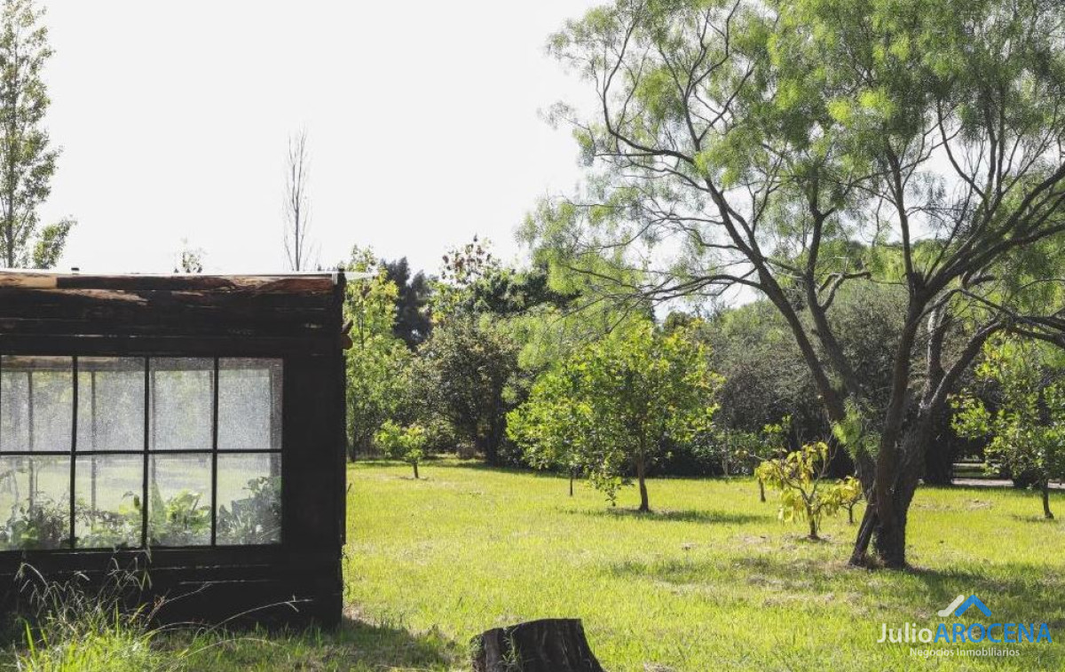 Casa ID.1303 - 🌿✨  CASA CAMPESTRE EN ALQUILER  - Colonia del Sacramento ✨🌿