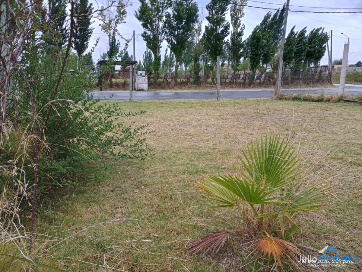 Casa ID.1364 - Hermoso monoambiente en alquiler en colonia del sacramento