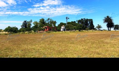 Chacra 5 Ha - Agrícola - Colonia