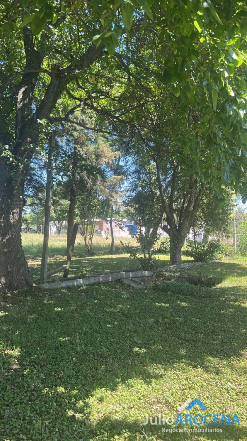 Galpón ID.1368 - HERMOSA CASA HABITACIÒN CON GALPON 