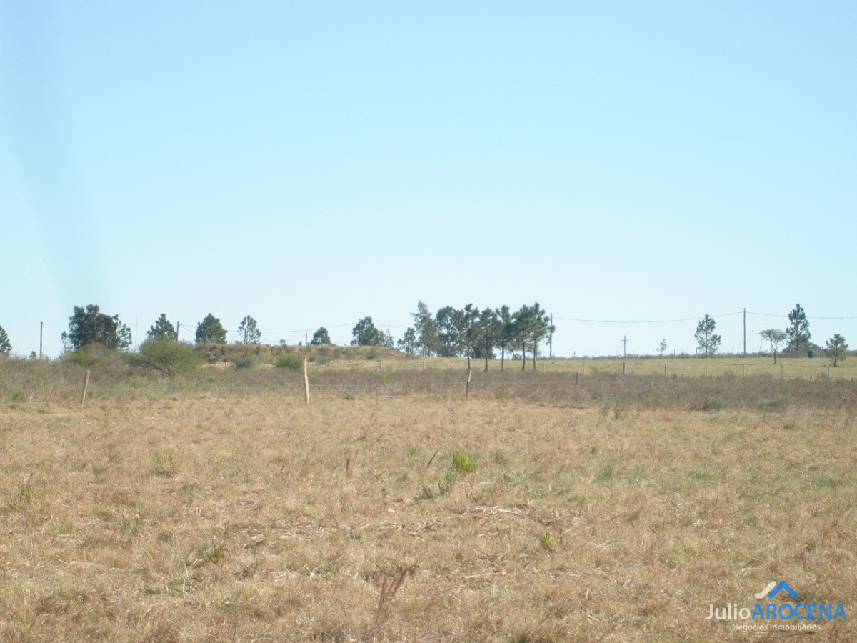 Chacra ID.632 - Chacra en Matamora, Colonia 