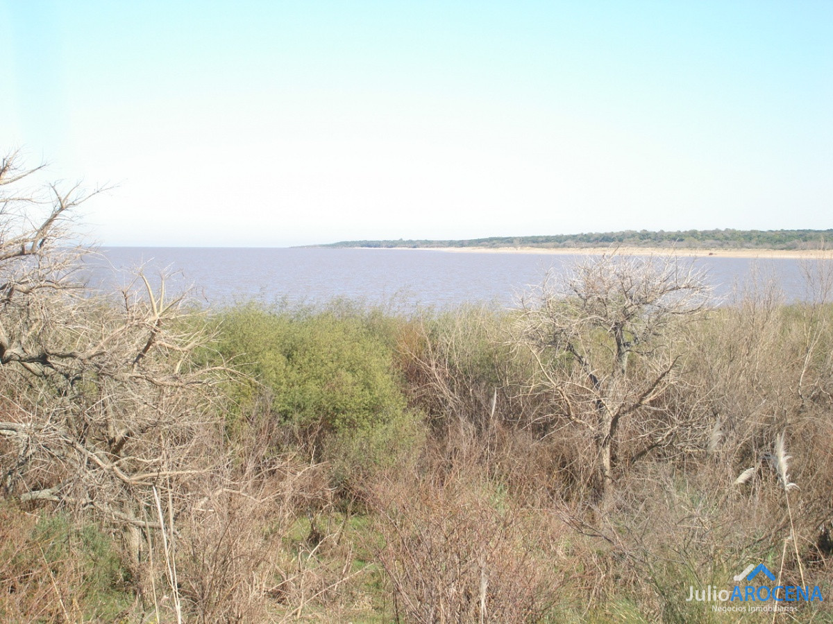Chacra ID.632 - Chacra en Matamora, Colonia 