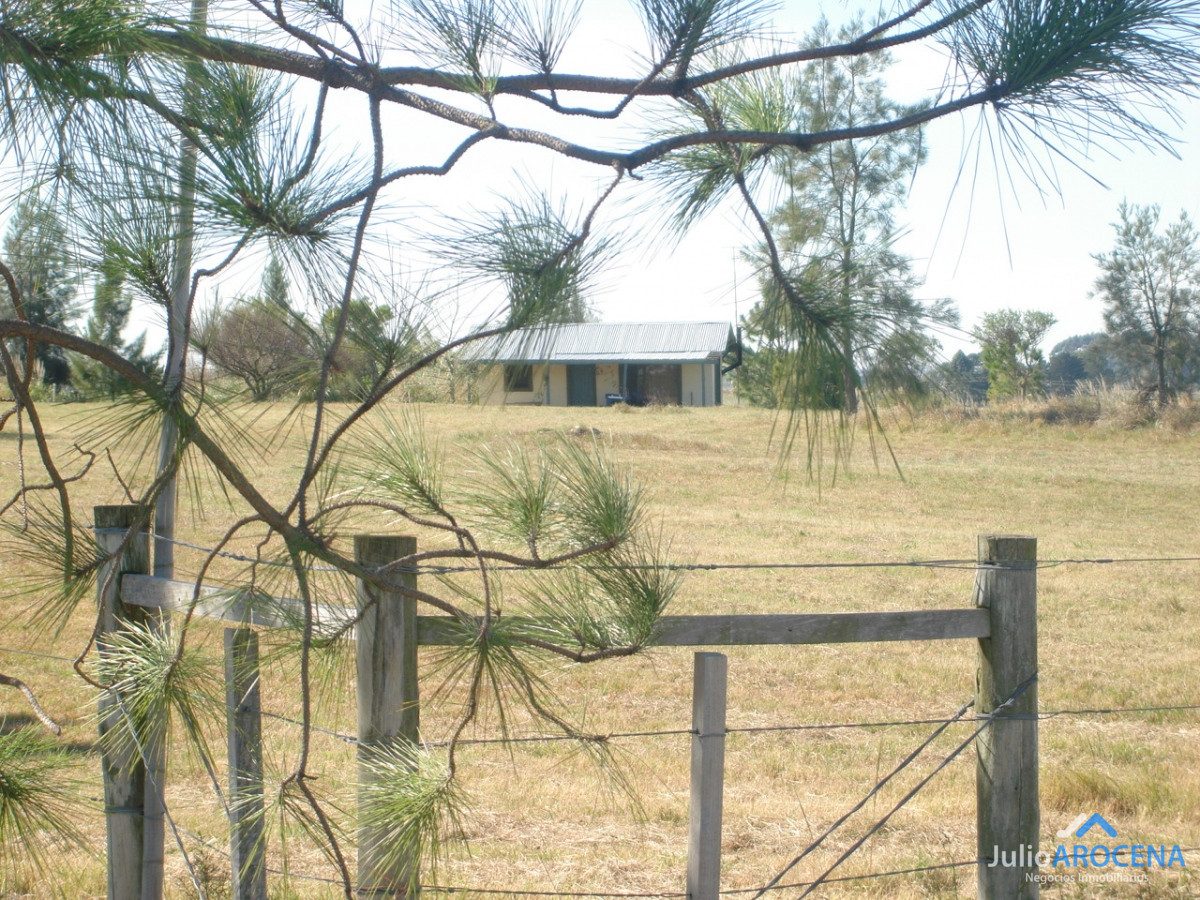 Chacra ID.632 - Chacra en Matamora, Colonia 