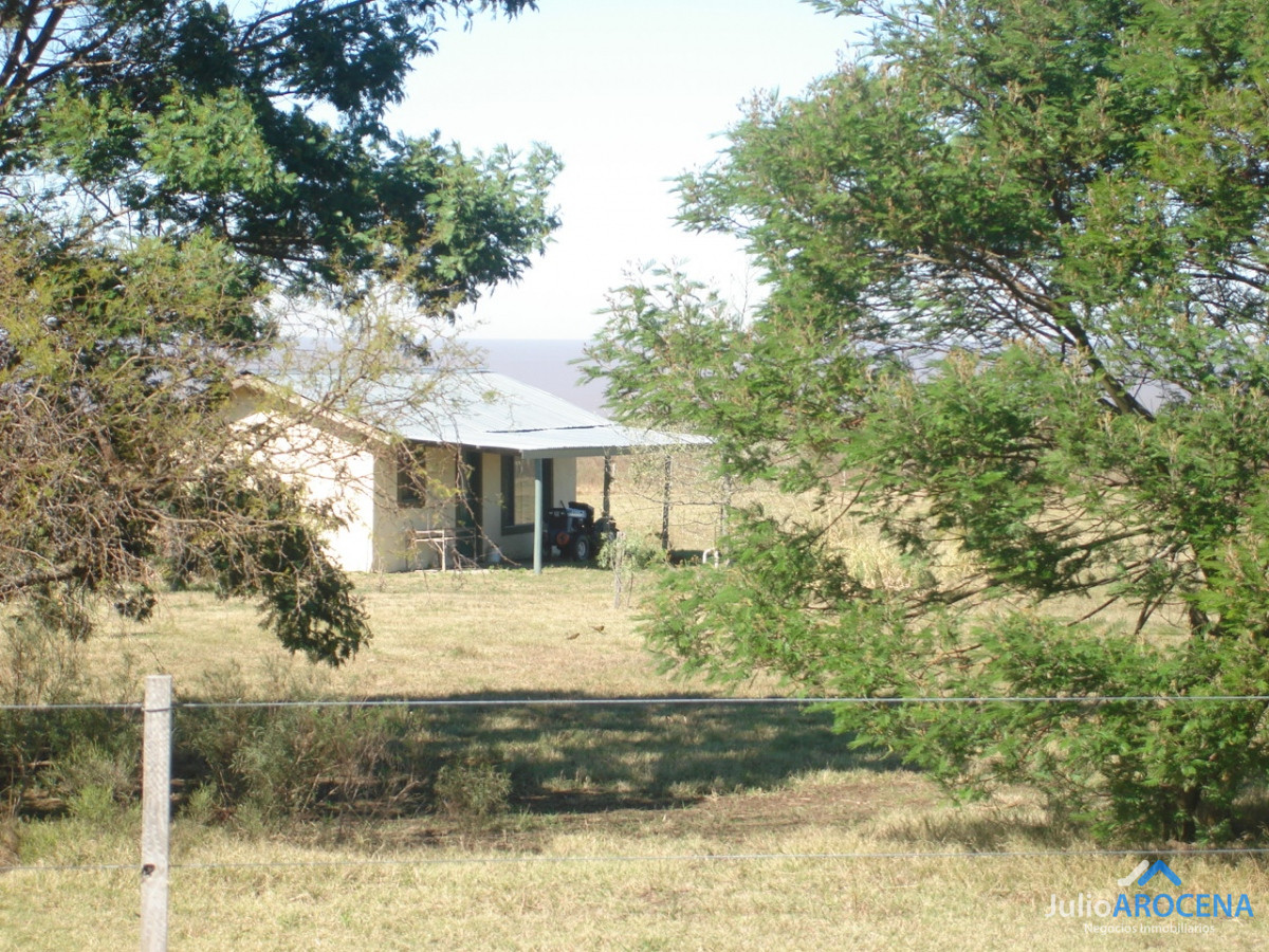 Chacra ID.632 - Chacra en Matamora, Colonia 