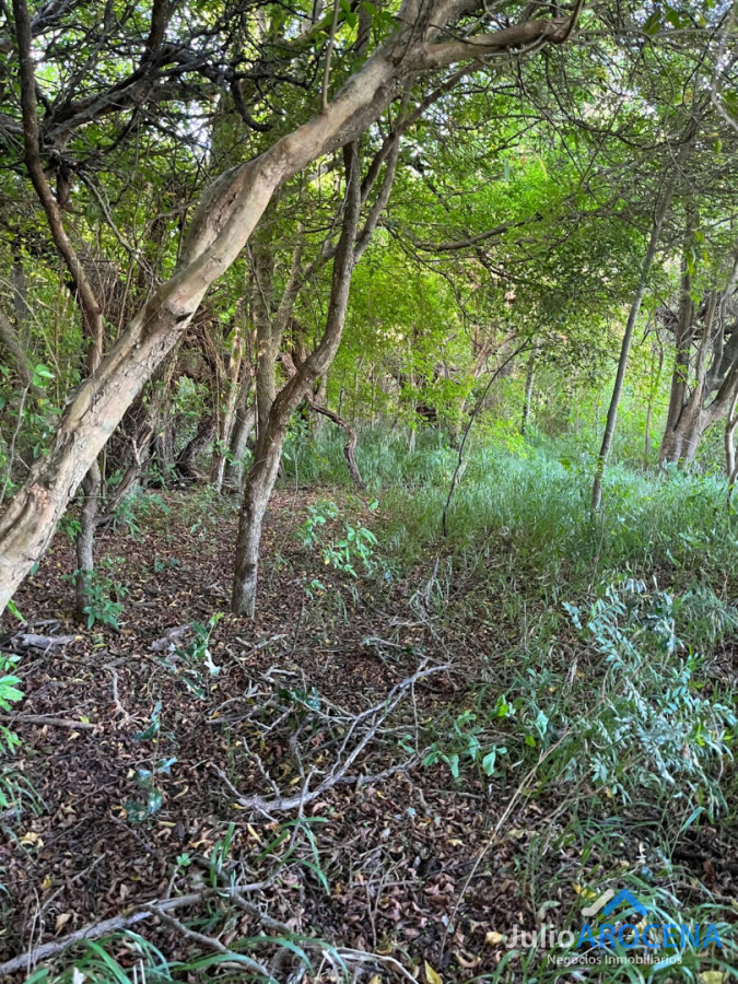 Chacra ID.1461 - GRAN CHACRA EN VENTA