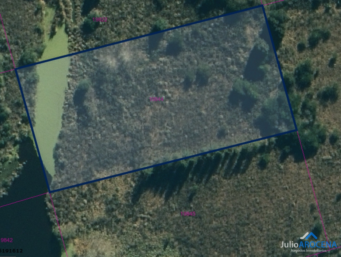 Chacra ID.912 - Chacra en Santa Ana