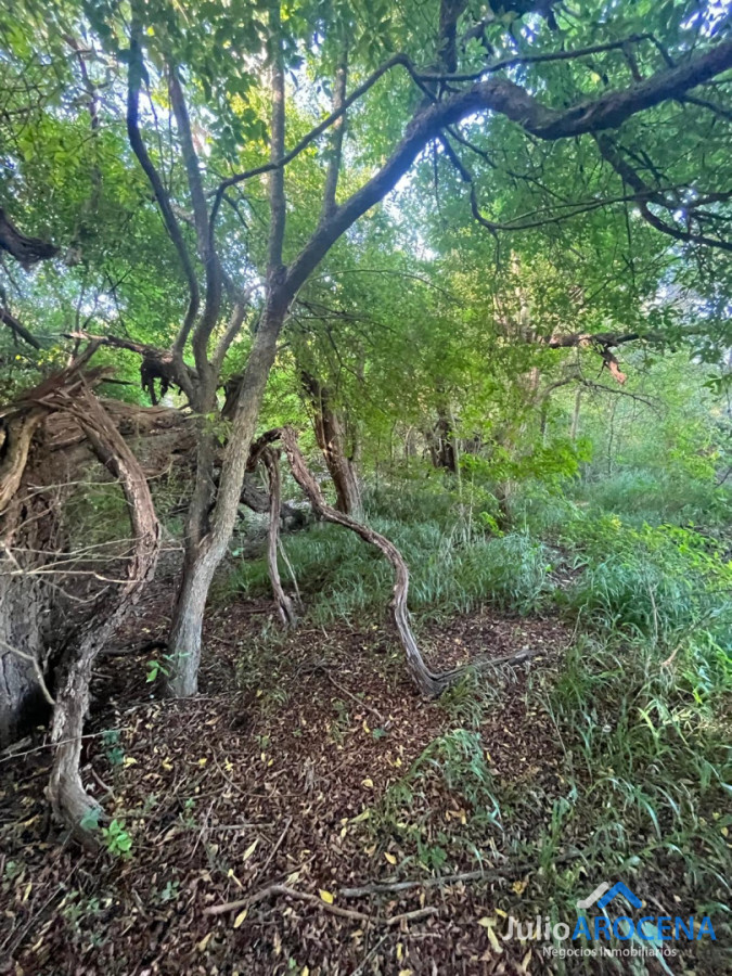 Chacra ID.1461 - GRAN CHACRA EN VENTA