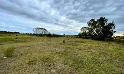 Venta Una Hectárea de Terreno en Colonia