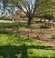 Chacra en El Caño - Colonia del Sacramento escucha ofertas