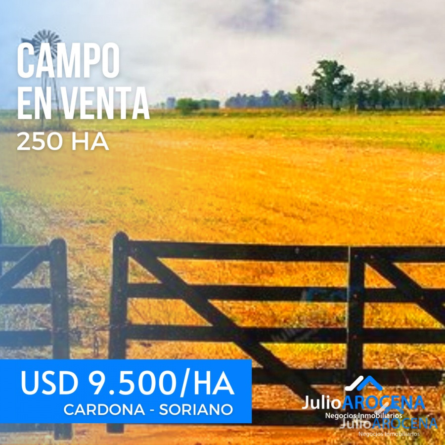 Campo Ref.635 - Campo en Soriano