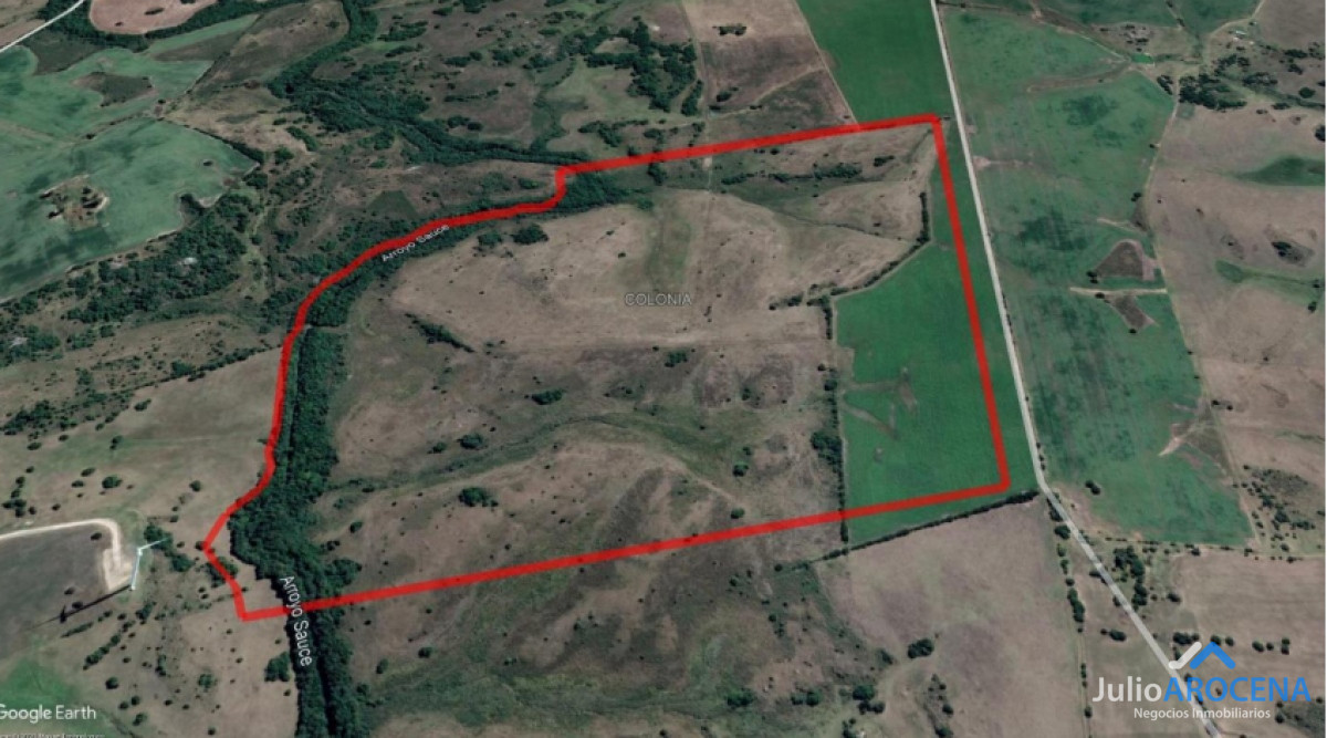 Campo Ref.639 - Campo en Colonia