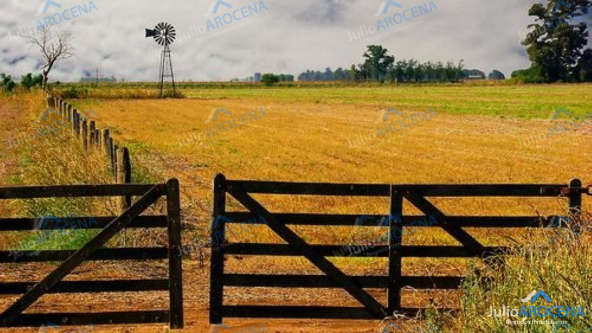 Campo Ref.635 - Campo en Soriano