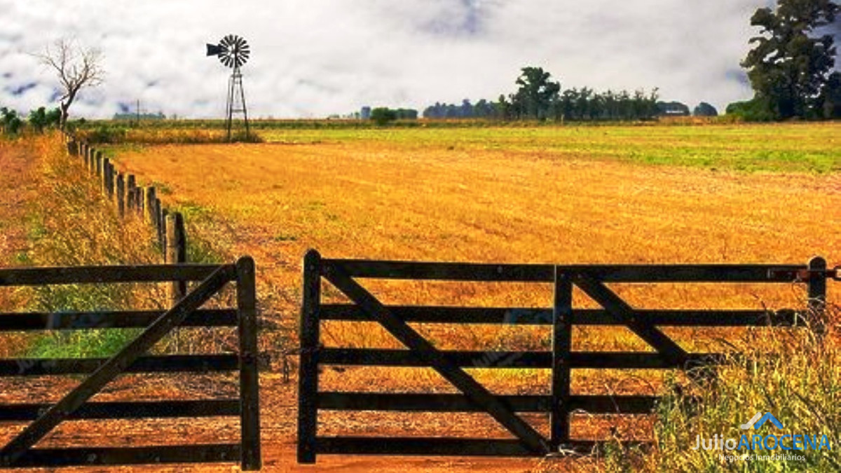 Campo Ref.636 - Excelente Campo en Flores 