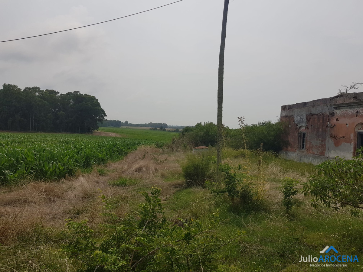 Campo Ref.638 - Campo de 32 Hectáreas en Colonia