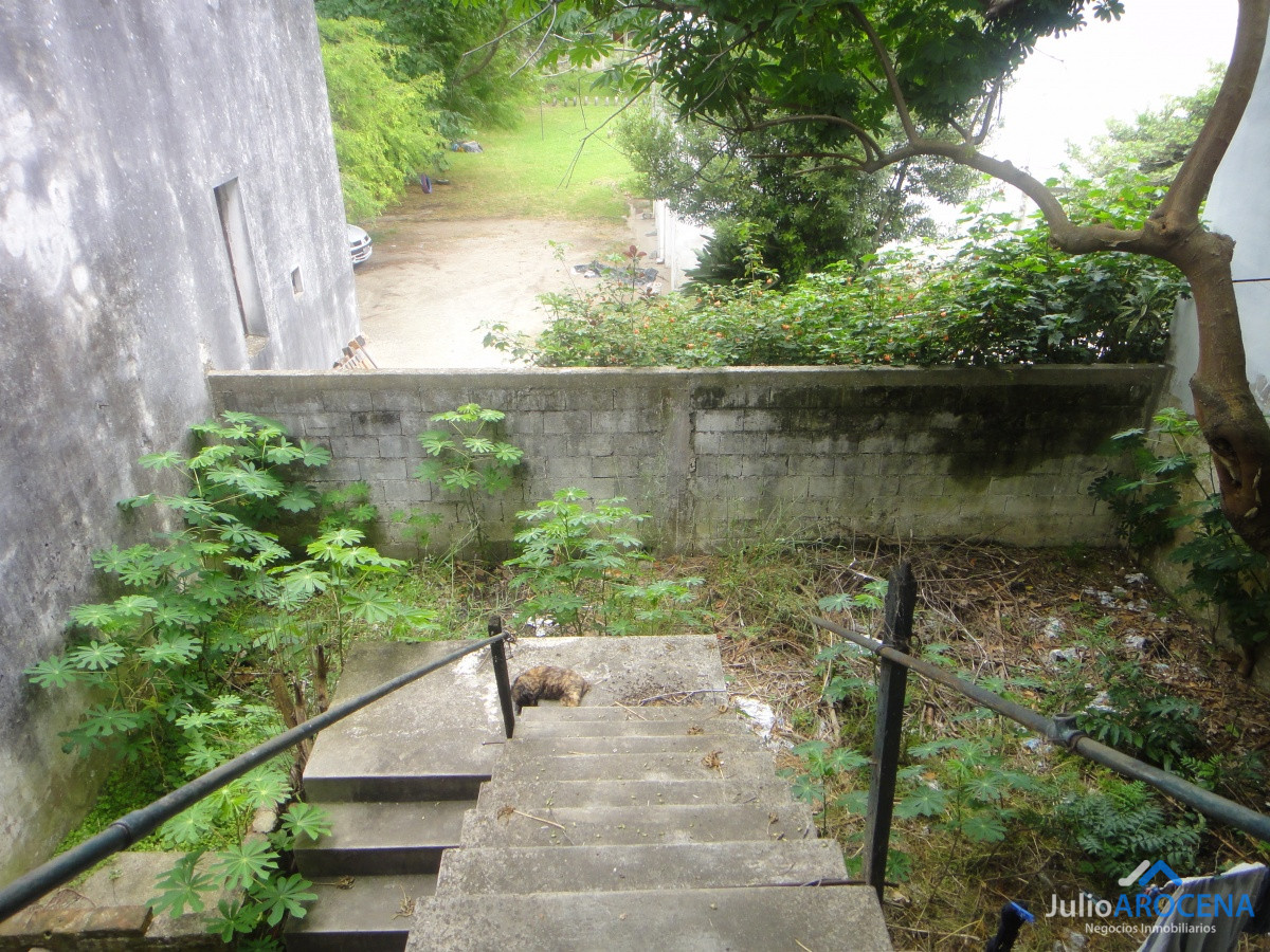 Local Comercial ID.618 - Locales en Centro 