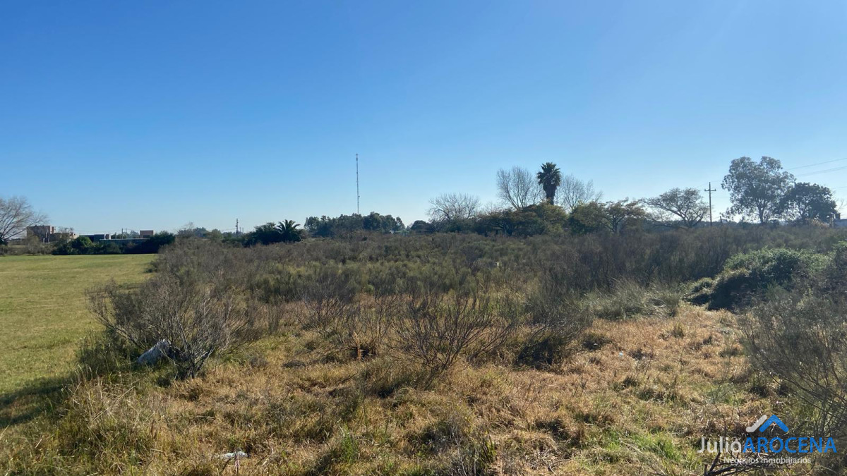Terreno ID.598 - Terreno de 3717 m²