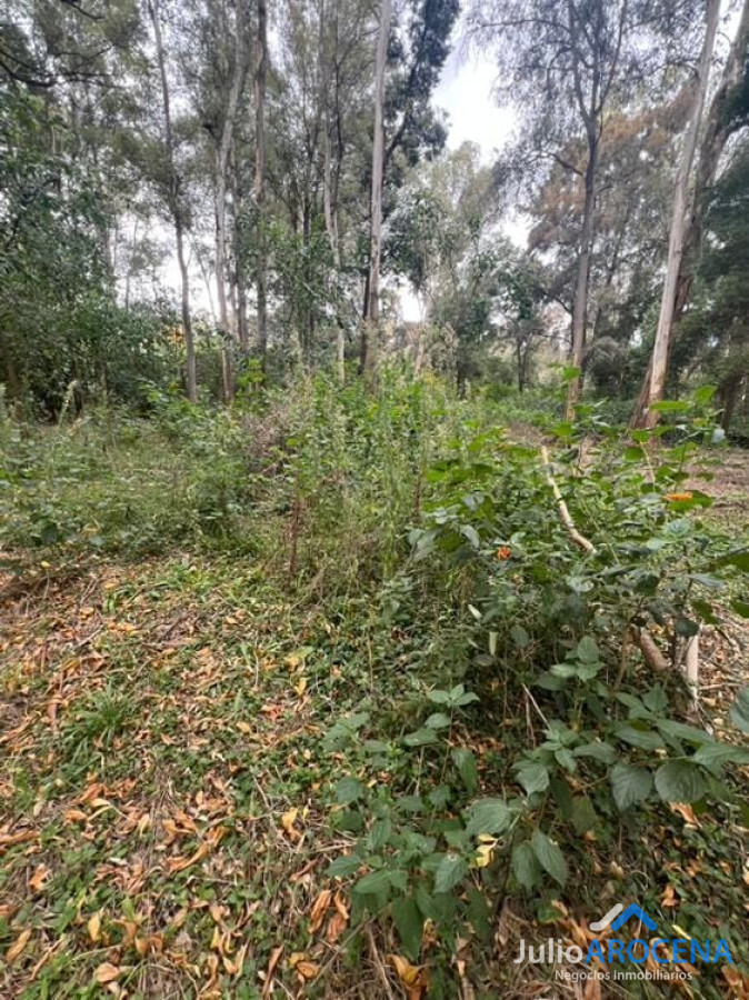 Terreno ID.1236 - terreno el balneario el ENSUEÑO 