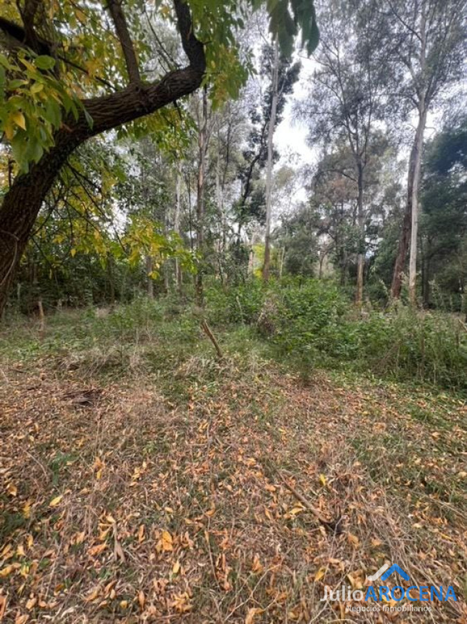 Terreno ID.1236 - terreno el balneario el ENSUEÑO 