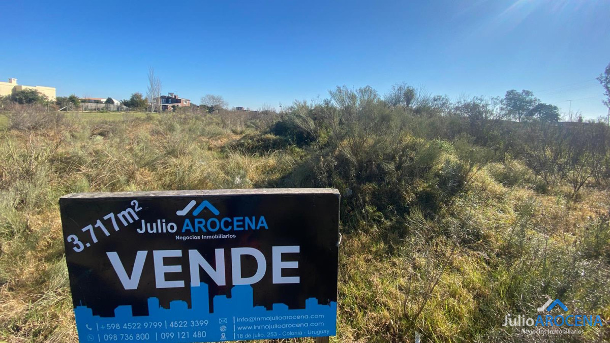 Terreno ID.598 - Terreno de 3717 m²