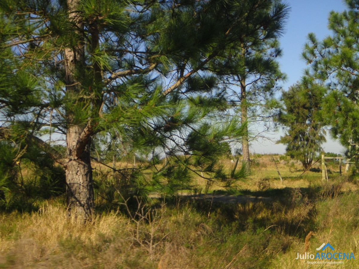 Terreno ID.694 - Terreno en Colonia del Sacramento, 